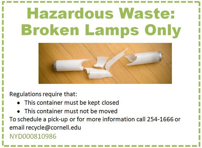 Proper Disposal of Light Bulbs By General Contractors on Ithaca Campus